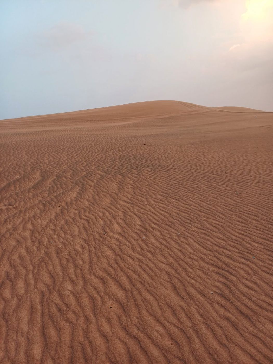 Dunas